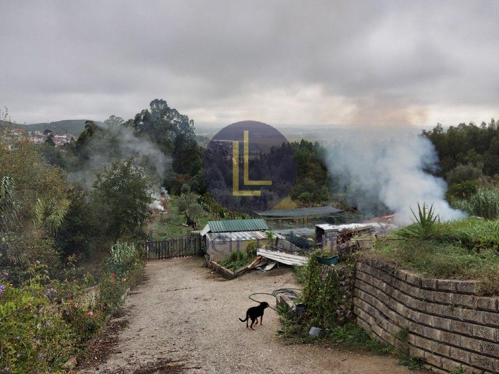 Fotografia de imóvel: Armazém 1200m2 - Terreno com 7.969m2 - ZI Tocadelo