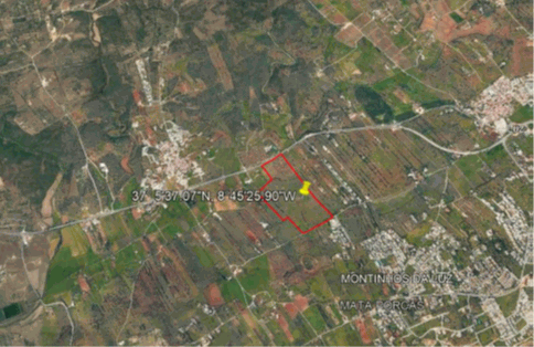 Insolv&ecirc;ncia de Aprigius - Companhia de Investimentos Imobili&aacute;rios Comerciais, SA