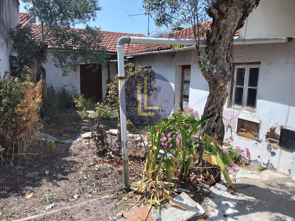 Proc.501/20.4T8PMS Cabe&ccedil;a de Casal - Maria da Piedade Monteiro/ Interessado- Jos&eacute; Santos Monteiro (Batalha)