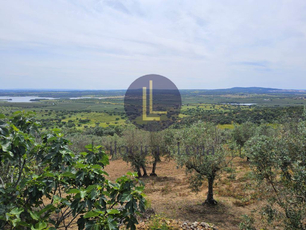 Fotografia de imóvel: Armazém 1200m2 - Terreno com 7.969m2 - ZI Tocadelo