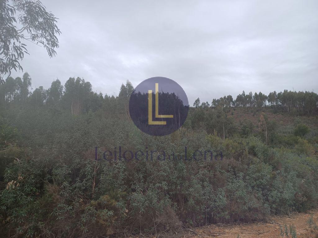 Terreno Rustico em Ma&ccedil;&atilde;o (2025/Ma&ccedil;&atilde;o - Barroca)